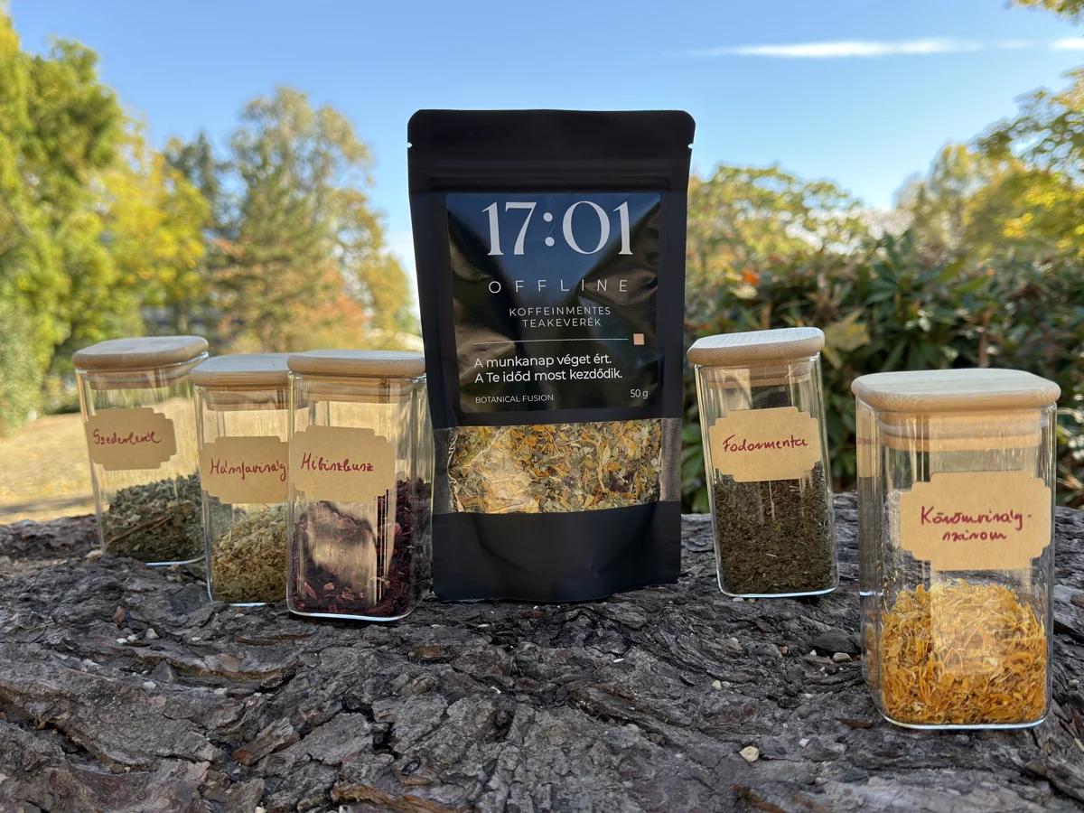 OFFLINE tea és gyógynövényes üvegek egy parkban
